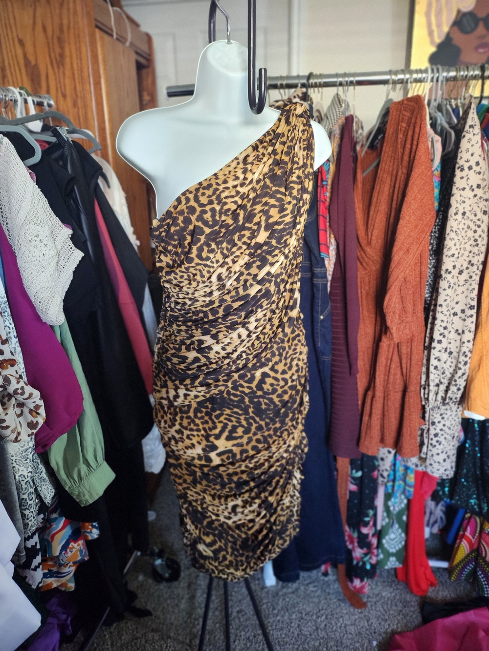 Tadashi Shoji One-Shoulder Leopard Print Ruched Dress - Brown/Black